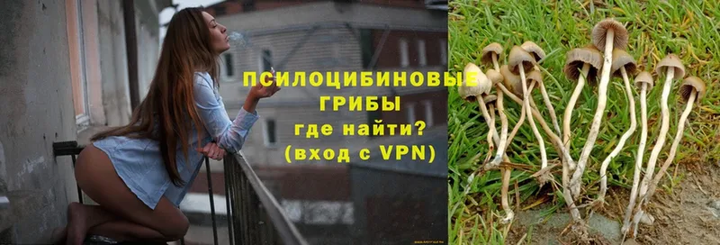 Наркота Минусинск A PVP  ОМГ ОМГ зеркало  Амфетамин  Кокаин  Бошки Шишки 